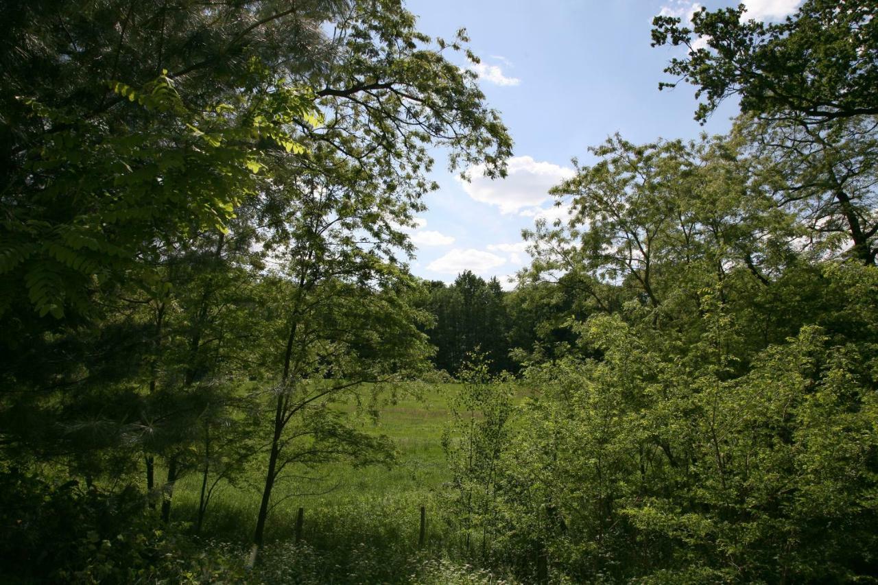 Landpension Germania Neuhausen  Exteriér fotografie